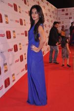 Sonal Chauhan at Stardust Awards 2013 red carpet in Mumbai on 26th jan 2013 (630).JPG